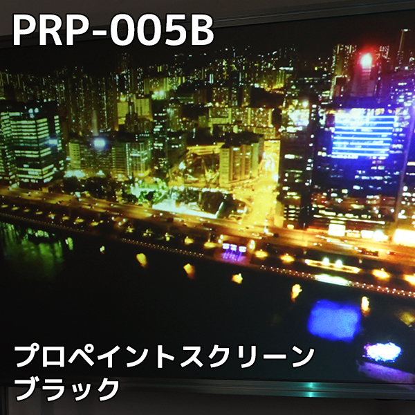 プロペイントスクリーン ブラック